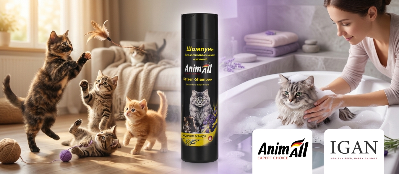 Описание изображения